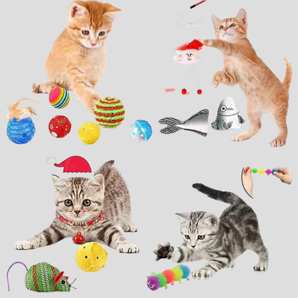 Katzen-Spielzeug-Adventskalender 24-Tage-Interaktives Countdown-Set