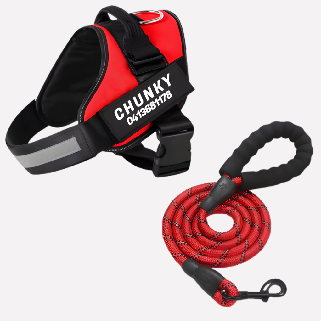 Personalisierte Anti-Zieh-Hundegeschirr