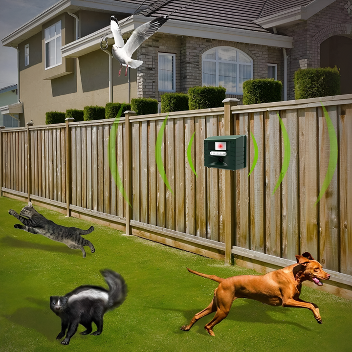 Ultraschall-Abwehrgerät für Spechte – Effektiver Schutz für Ihr Grundstück