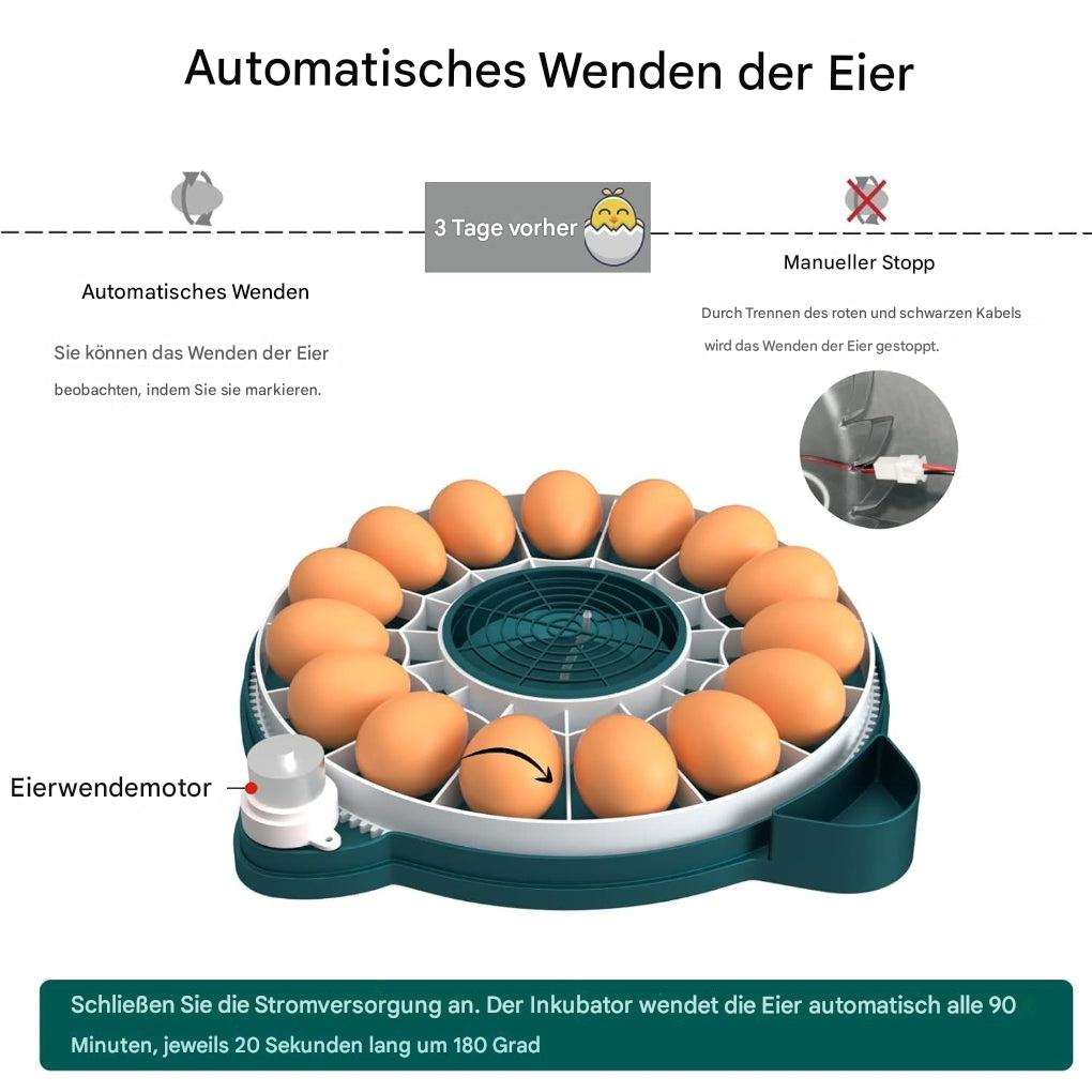 15-Eier-Brutkasten mit automatischer Feuchtigkeitsregelung