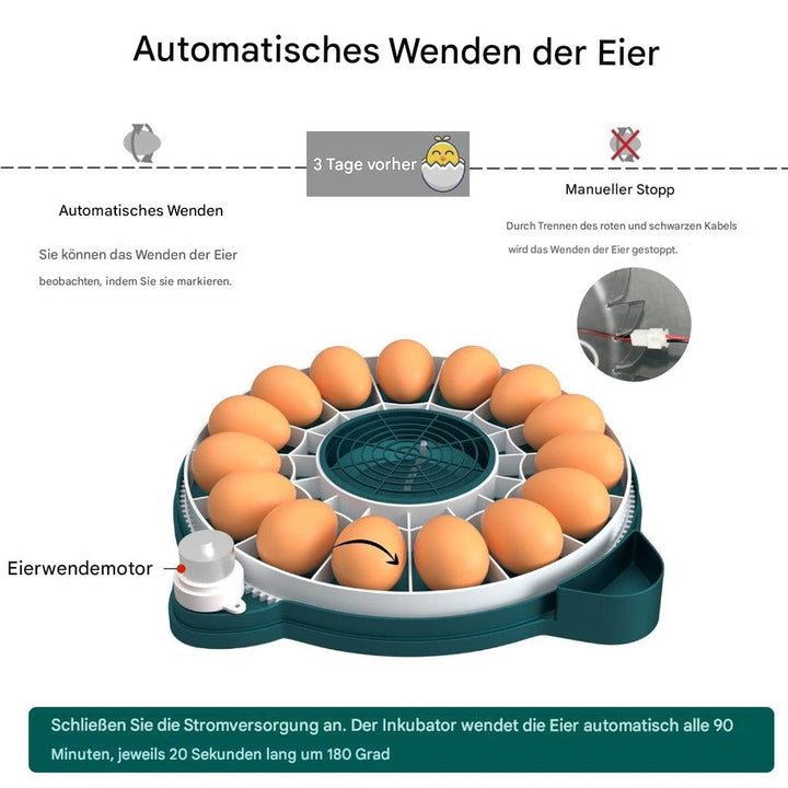 15-Eier-Brutkasten mit automatischer Feuchtigkeitsregelung