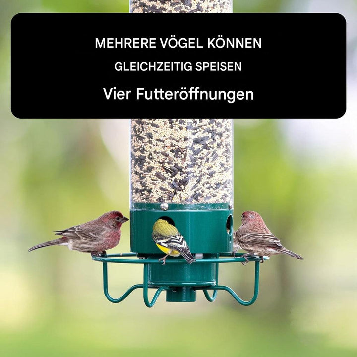 Eichhörnchen-sichere Vogelfutterstelle
