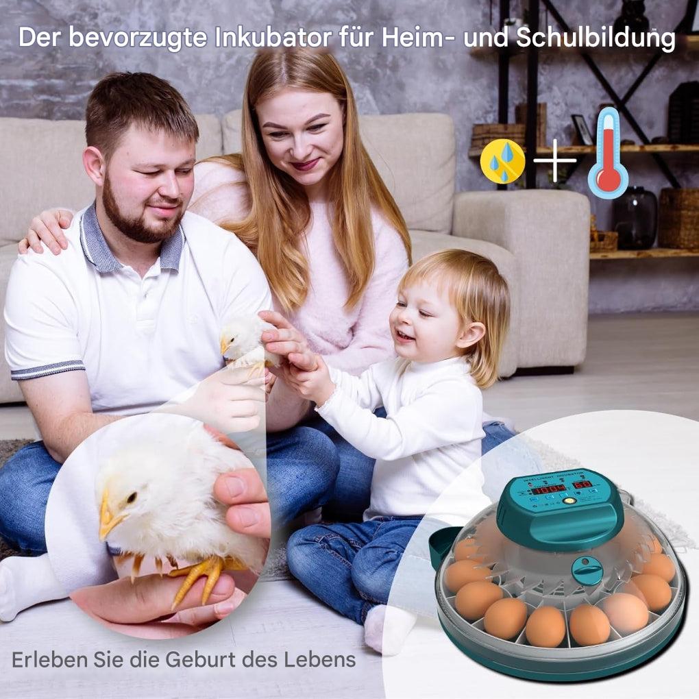15-Eier-Brutkasten mit automatischer Feuchtigkeitsregelung