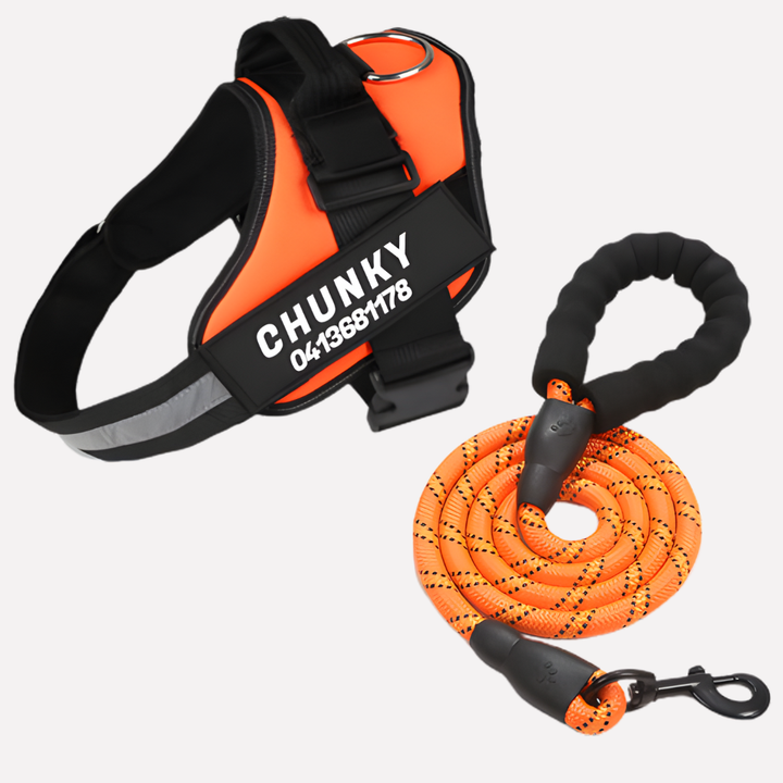 Personalisierte Anti-Zieh-Hundegeschirr