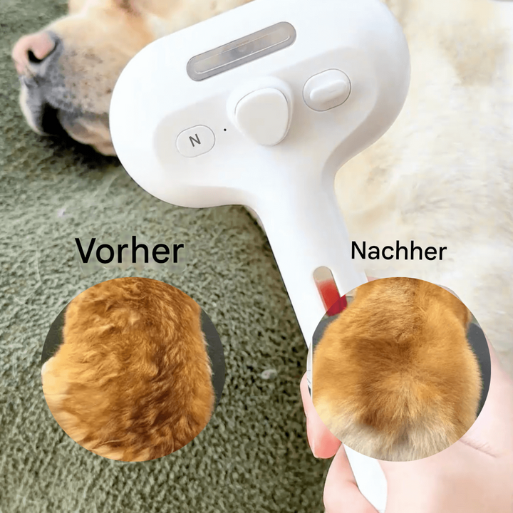 BrushPaw Dampfbürste für Hunde