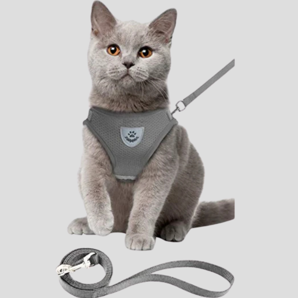 Katzenharness mit Leine