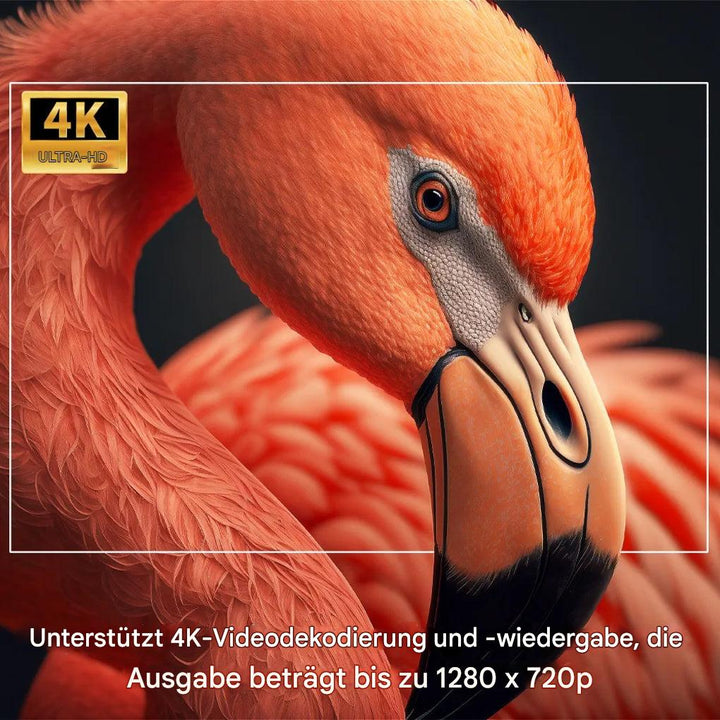 Tragbarer Outdoor-Projektor