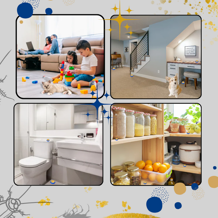 Geruchsneutrale Kakerlakenfallen