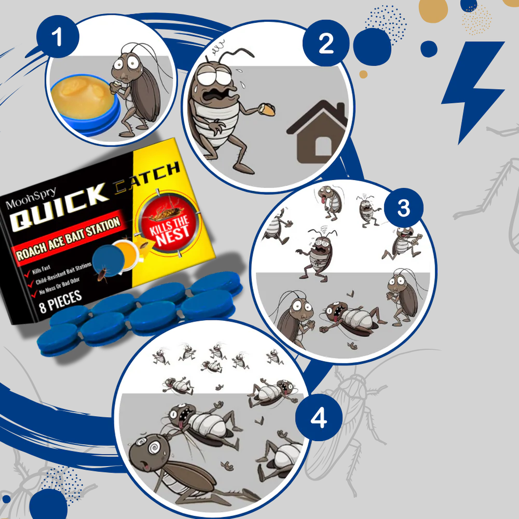 Geruchsneutrale Kakerlakenfallen