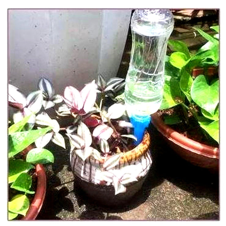 Automatische Pflanzenbewässerungsspieße (12er-Pack)