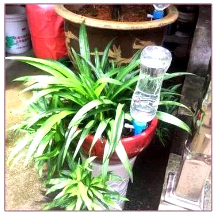 Automatische Pflanzenbewässerungsspieße (12er-Pack)