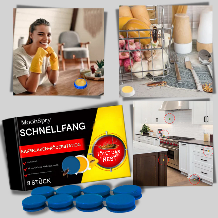 Geruchsneutrale Kakerlakenfallen