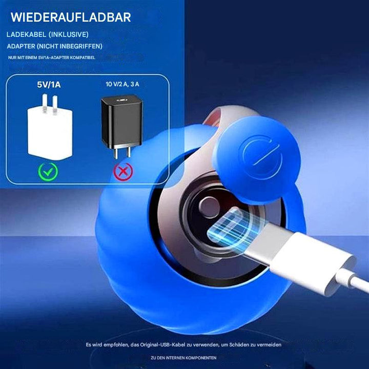 Interaktives Katzenspielzeug