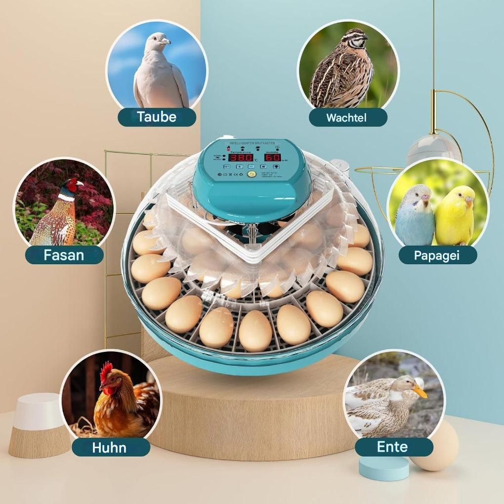 15-Eier-Brutkasten mit automatischer Feuchtigkeitsregelung